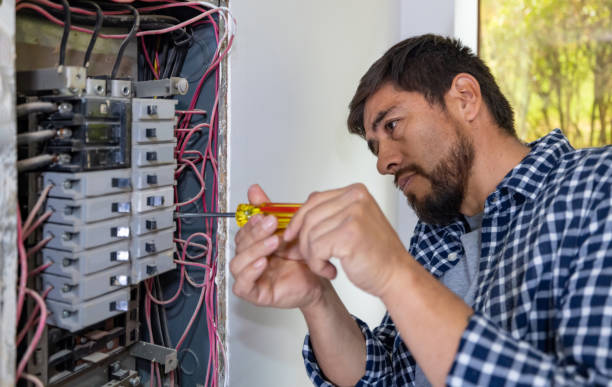 Best Electric Panel Repair  in Doniphan, MO